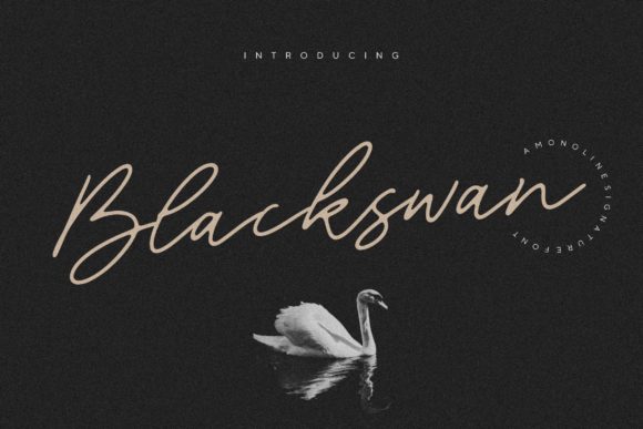 Blackswan: A Premium Handwritten Font for Campaigns