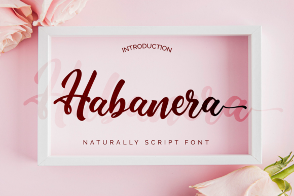 Habanera: A Handwritten Font for Editorial Warmth