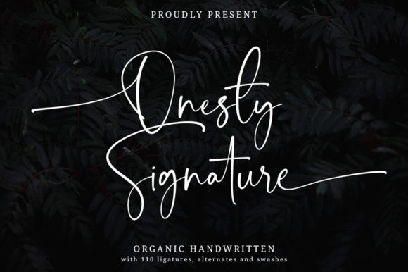 Onesty Signature: A Designer's Real-World Review