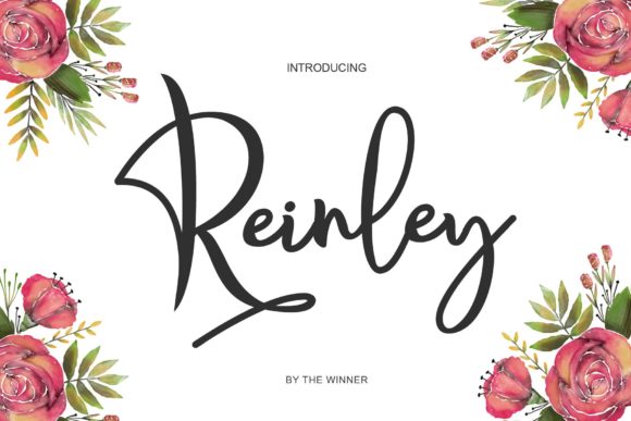Reinley: A Delicate Script Font for Modern Web Design