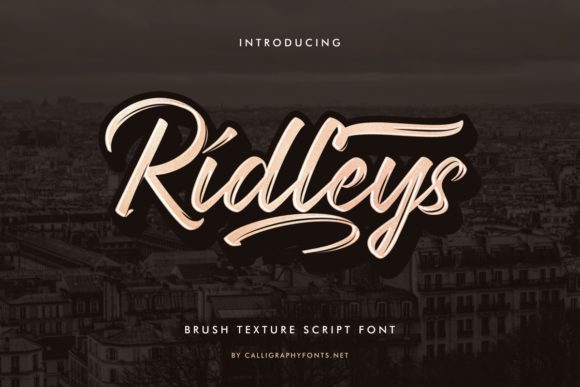 Ridleys: A Premium Script Font for Web Design
