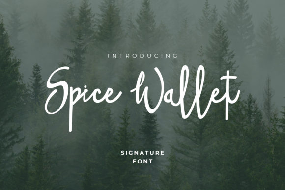 Spice Wallet: The Handwritten Font for Bold Campaigns